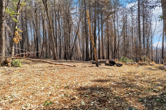 10860 Cohasset Road, Chico CA: https://media.crmls.org/medias/6f963b16-7ff1-41ef-92c5-2cd111546ebb.jpg