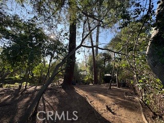 0 Burleigh Drive, Pasadena CA: https://media.crmls.org/medias/6f96a621-18fc-481a-8ce2-82709275e20f.jpg