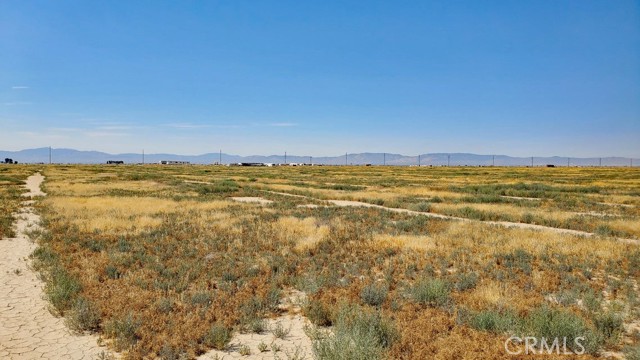 Detail Gallery Image 7 of 17 For 0 Vicinity Ave D11 & 52nd St E, Lancaster,  CA 93536 - – Beds | – Baths