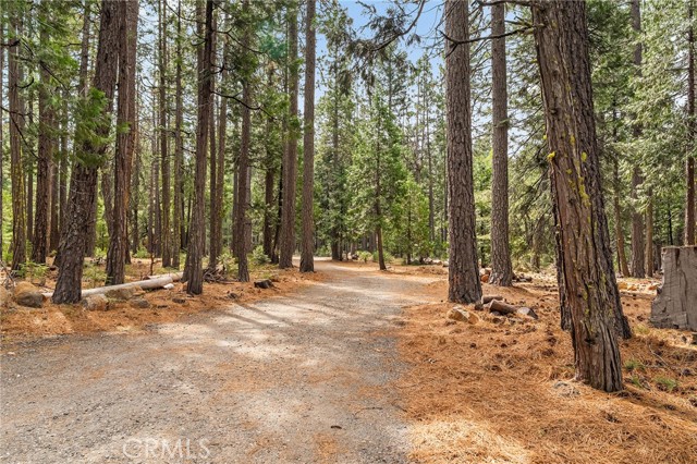Detail Gallery Image 66 of 72 For 7597 Maddrill, Forest Ranch,  CA 95942 - 3 Beds | 2 Baths