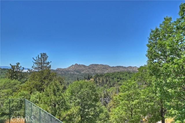 Detail Gallery Image 66 of 73 For 1621 Lupin Rd, Lake Arrowhead,  CA 92352 - 7 Beds | 7/2 Baths