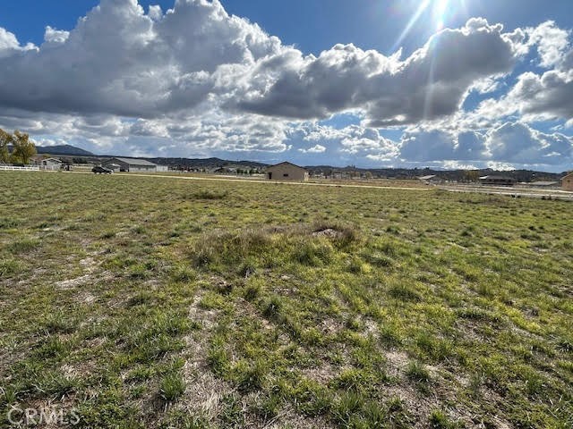 Back View from the lot