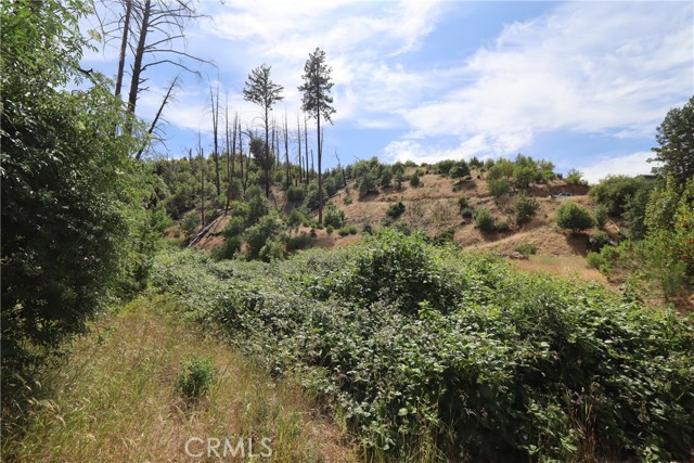 11231 Anderson Springs Road, Middletown, California 95461, ,Land,For Sale,11231 Anderson Springs Road,CRLC23106837