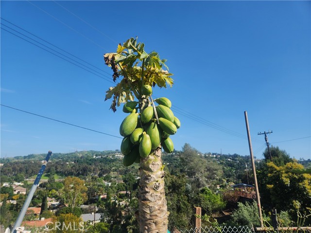 2868 Yojoa Place, Hacienda Heights CA: https://media.crmls.org/medias/6fb6d590-dcb8-4201-a378-7a5e393fcdbb.jpg