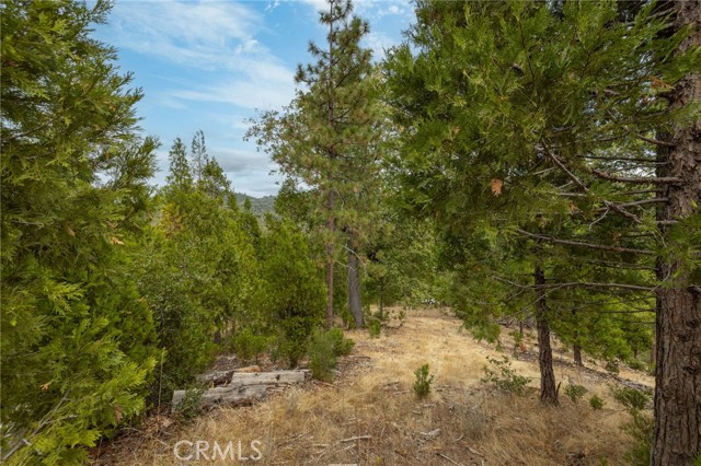 Detail Gallery Image 49 of 55 For 26 Timberview, North Fork,  CA 93643 - – Beds | – Baths