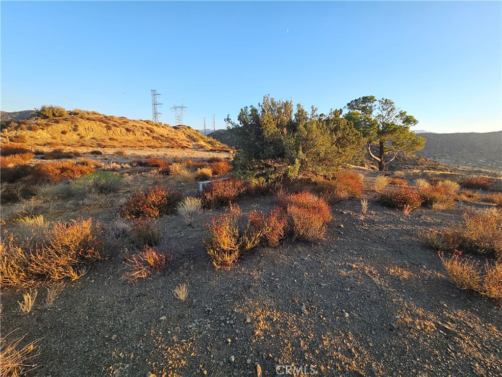 MLS #DW25180755 image #13