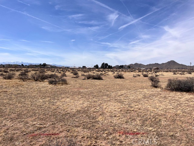 MLS #HD25222307 image #9