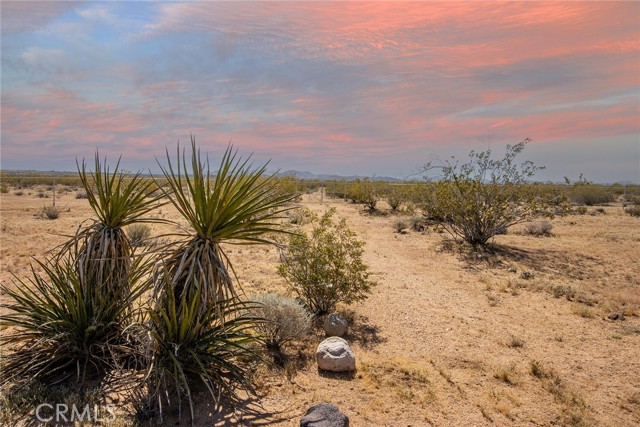 Detail Gallery Image 11 of 35 For 2128 N Sage Ave, Landers,  CA 92285 - 0 Beds | 1 Baths