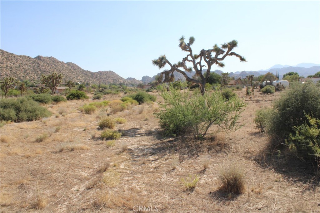 MLS #CV25150711 image #2