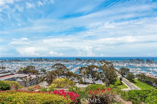 25112 Danabirch, Dana Point CA: https://media.crmls.org/medias/6fd4b736-44c5-46fd-9ab5-47fd2350aa79.jpg