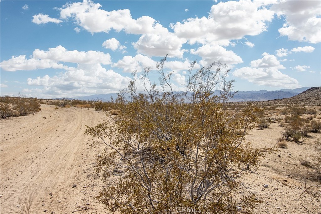 MLS #SN25221627 image #14