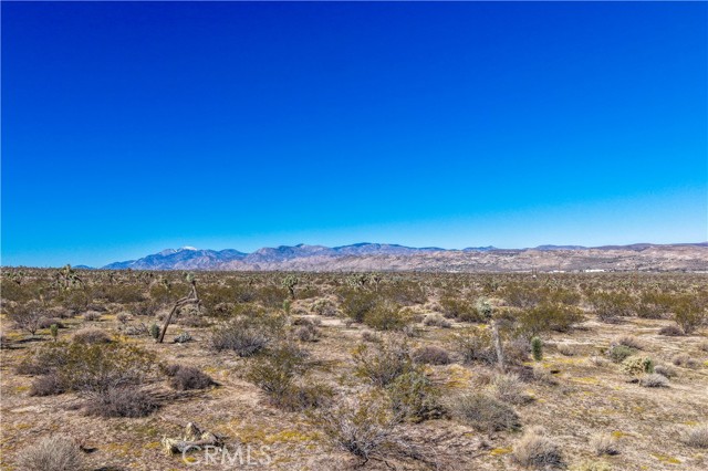 Detail Gallery Image 12 of 15 For 7442 Olympic Rd, Joshua Tree,  CA 92252 - – Beds | – Baths