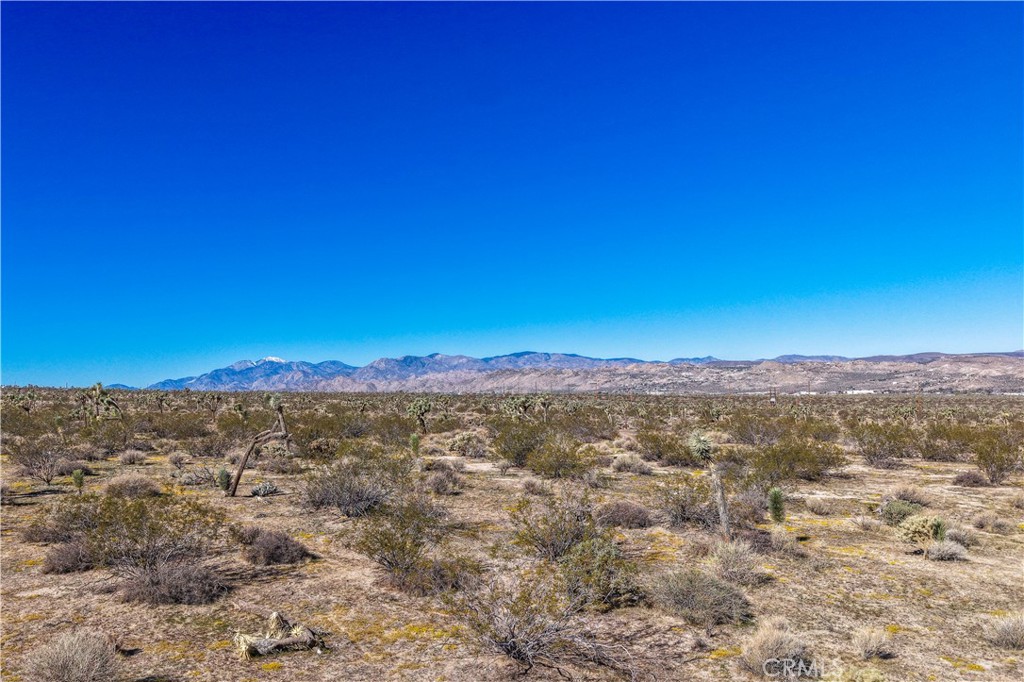 MLS #JT25246820 image #11