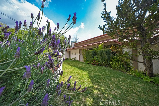 Detail Gallery Image 8 of 60 For 9752 Rangeview Dr, Santa Ana,  CA 92705 - 4 Beds | 3/1 Baths