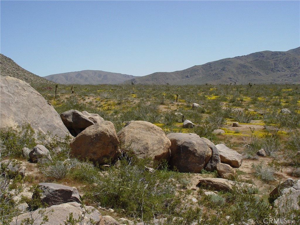 MLS #HD26154562 image #7