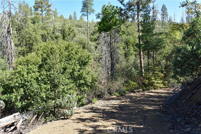 Detail Gallery Image 36 of 48 For 0 Incense Cedar Trl, Groveland,  CA 95321 - – Beds | – Baths