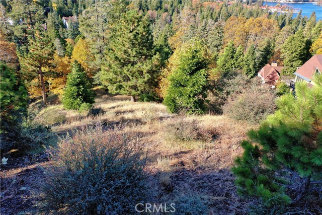 202 Hidden Forest Road, Lake Arrowhead, California 92352, ,Land,For Sale,202 Hidden Forest Road,CREV23214554