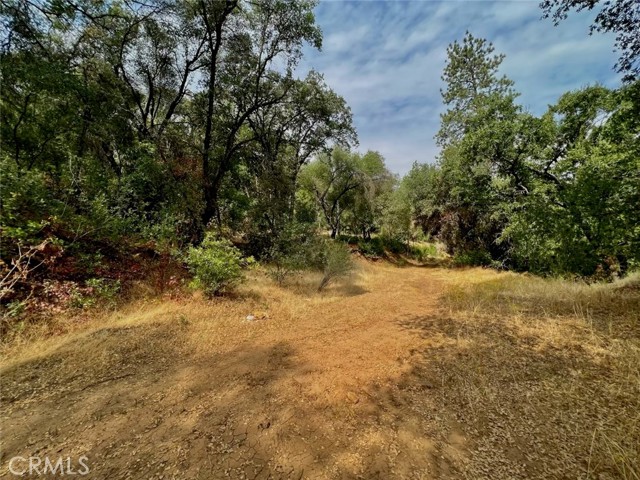 Detail Gallery Image 10 of 10 For 10 Ac Miller Rd / Old Hwy, Mariposa,  CA 95338 - – Beds | – Baths