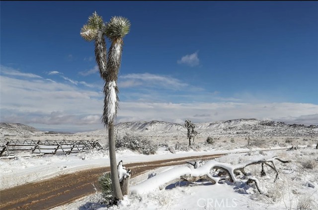 0 E Drive, Pioneertown CA: https://media.crmls.org/medias/6ffcc7c3-36d8-4945-9662-d7970271e356.jpg