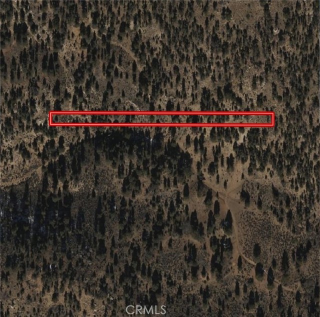 315 Avenue K, Big Bear City CA: https://media.crmls.org/medias/6ffe3a45-5e44-47f9-a3fe-1010cae7b6f2.jpg