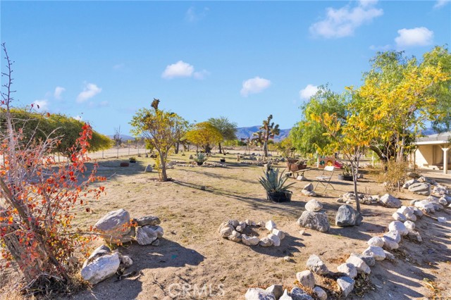 11924 Mountain Road, Pinon Hills CA: https://media.crmls.org/medias/700eb969-6375-4f76-b341-0ef03e25050c.jpg