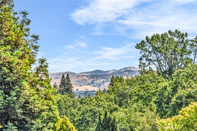 1536 Pleasant Hill Road, Lafayette CA: https://media.crmls.org/medias/7010165e-88a3-43b2-9c95-c2ee7dc85a76.jpg