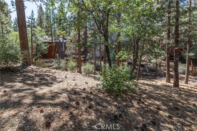 Detail Gallery Image 11 of 14 For 0 Kern Ave, Sugarloaf,  CA 92386 - – Beds | – Baths