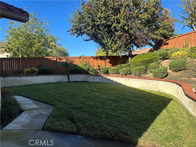 Professional photos coming Thursday