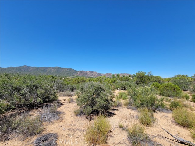 Detail Gallery Image 7 of 8 For 0 Terwilliger, Anza,  CA 92539 - – Beds | – Baths