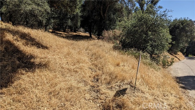 0 Cryer Road, Banning CA: https://media.crmls.org/medias/7035898a-e64e-45ef-b428-0e62e96b728f.jpg