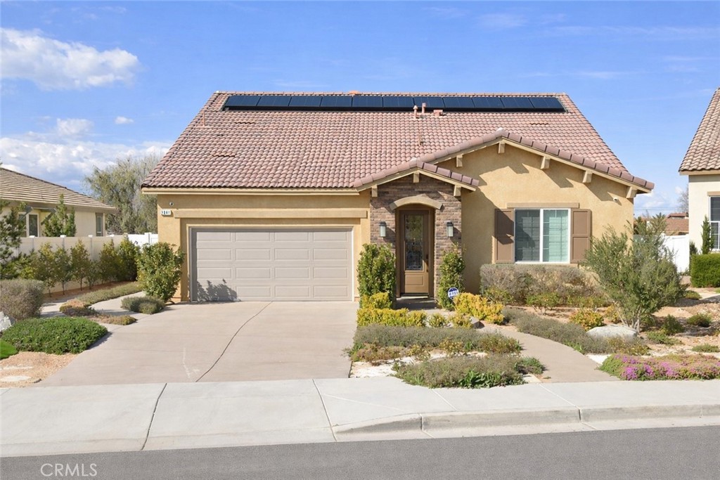 2041 Cork Oak Street