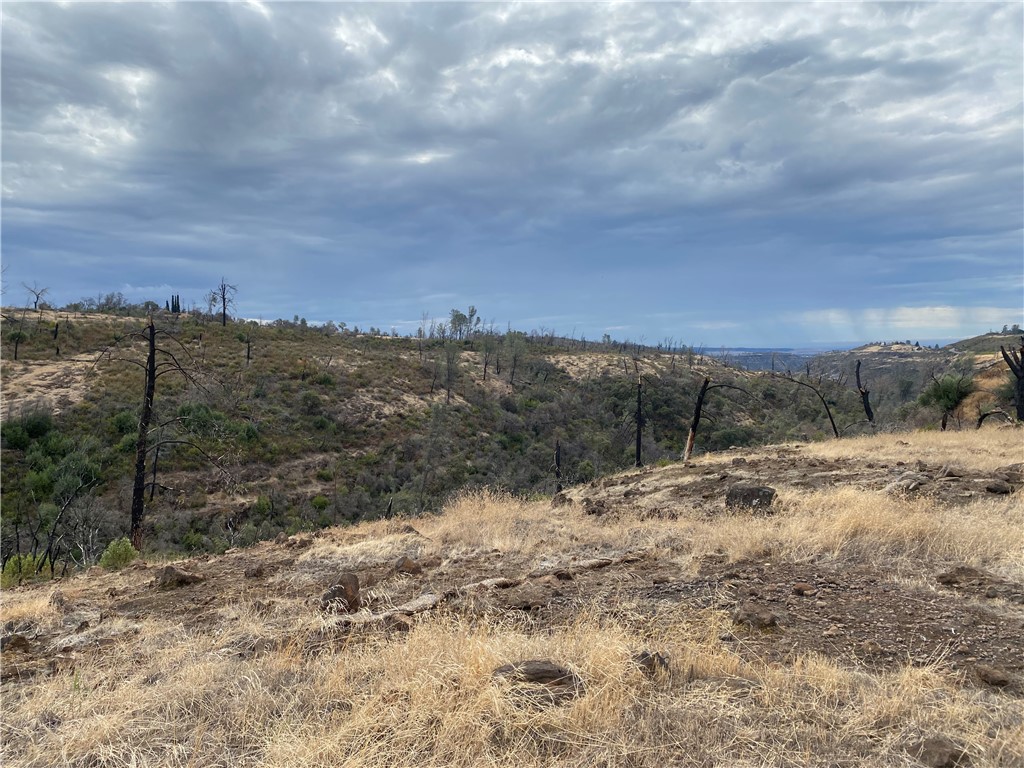 0 Mckale Road, Paradise, California 95969, ,Land,For Sale,0 Mckale Road,CRSN23072265