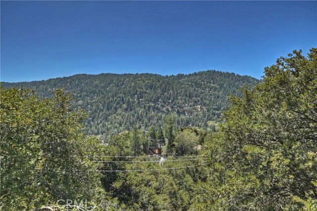 Detail Gallery Image 29 of 62 For 24355 Wabern Ct, Crestline,  CA 92325 - 4 Beds | 3/1 Baths