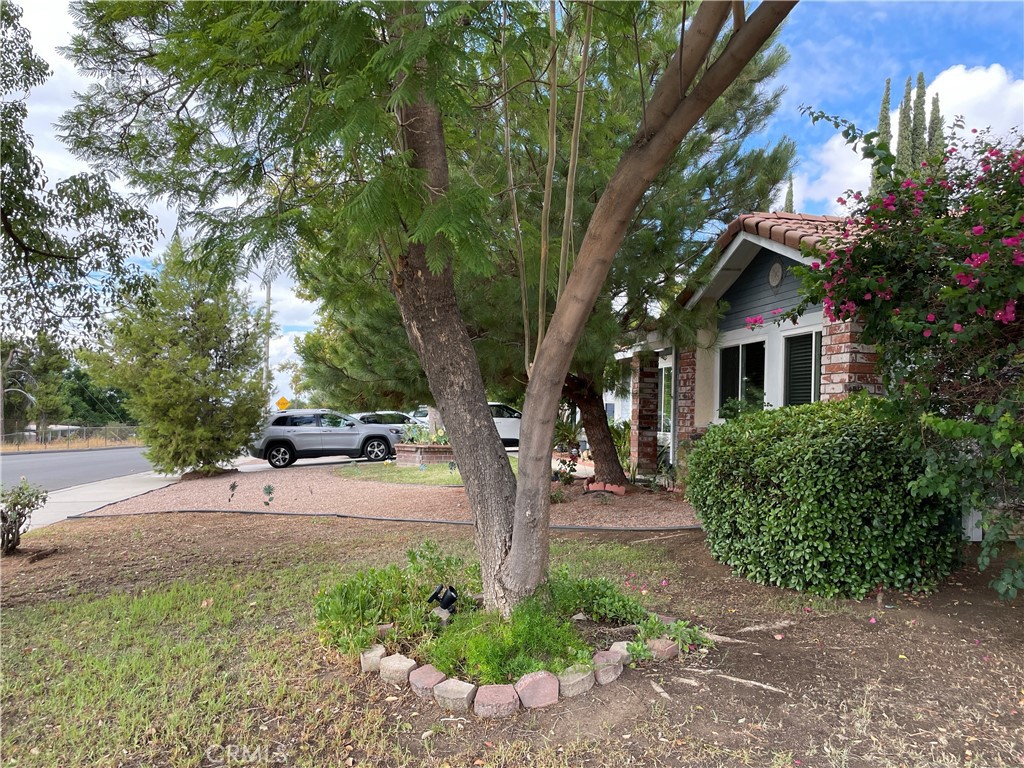 MLS #RS25223355 image #10