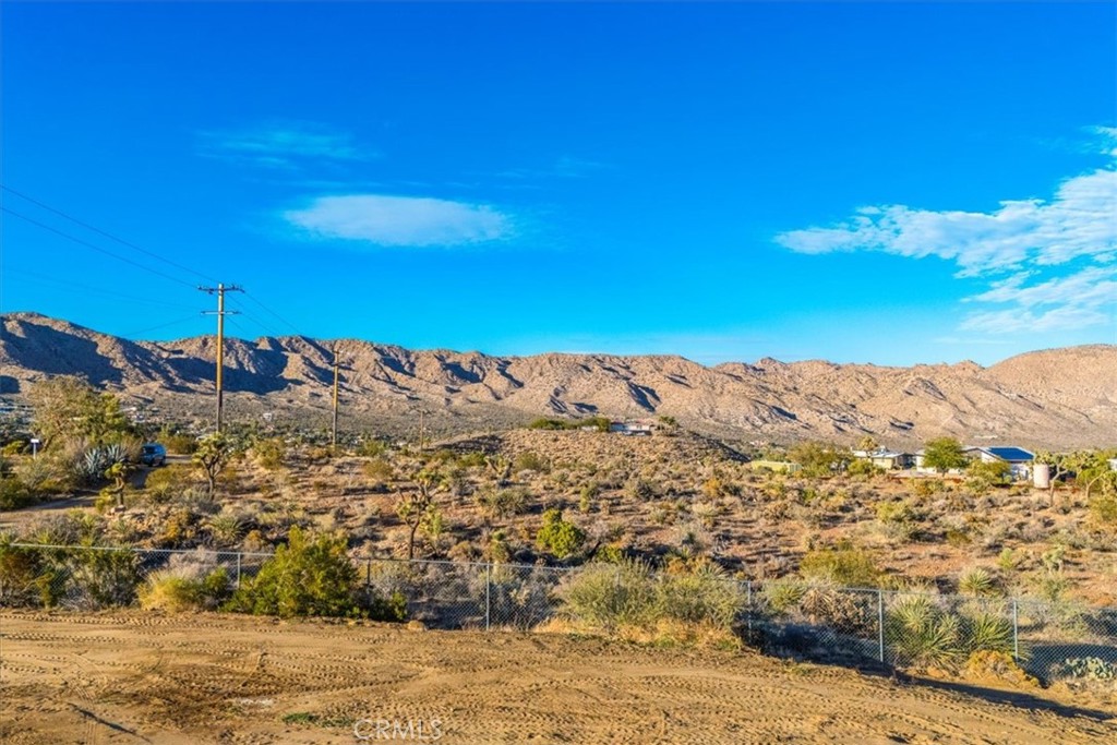 MLS #JT25263097 image #12