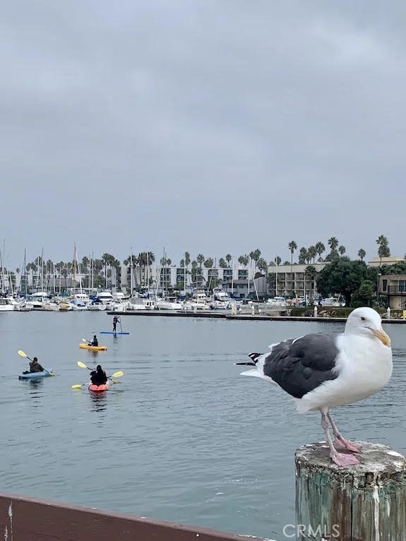 https://media.crmls.org/medias/7049a584-6918-49b2-83bc-8bc0614080ad.jpg?preset=X-Large