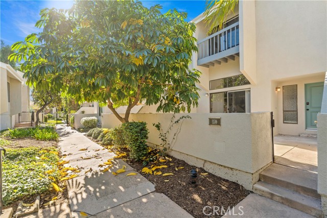 Front Image Thumbnail for CRWS26043444