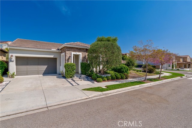 Front Image Thumbnail for CROC26088917