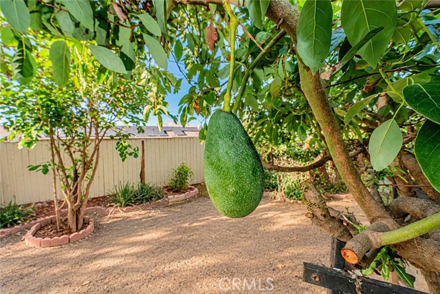 3 Bed Home for Sale in Highland, California