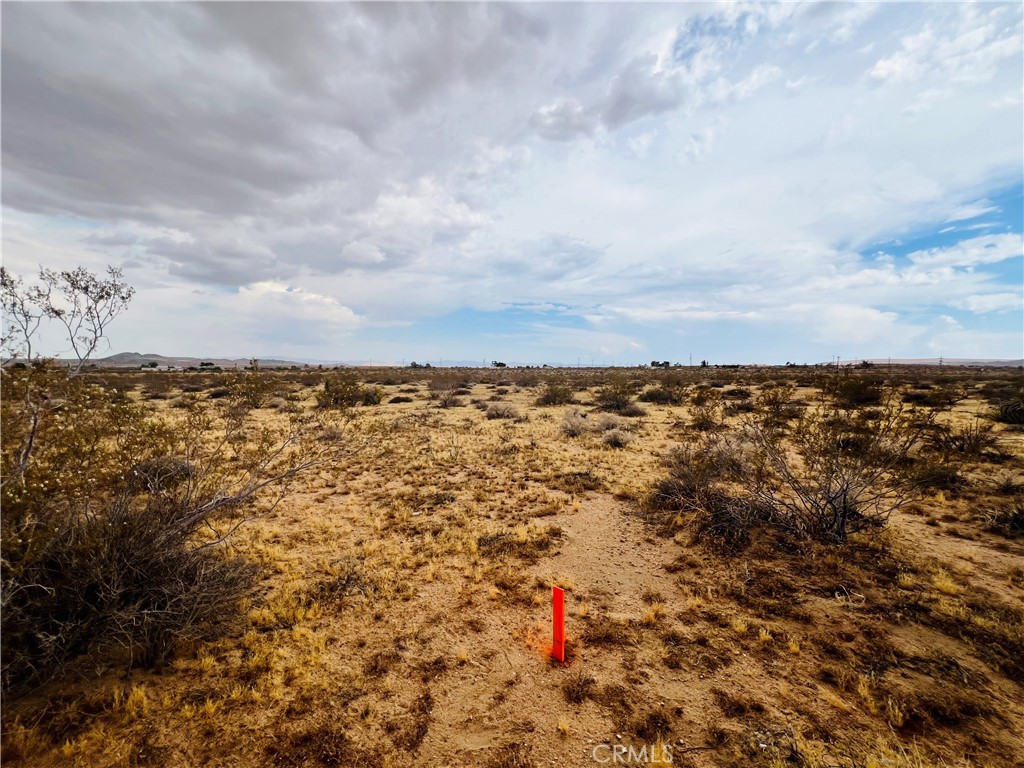 MLS #IV25178984 image #7