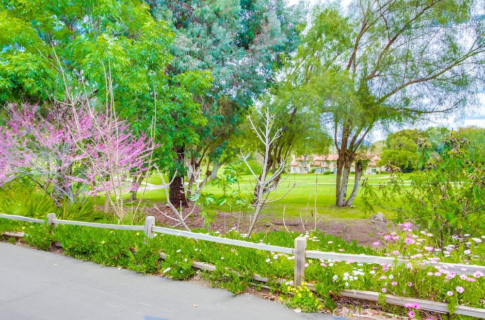 MLS #SW25236492 image #38