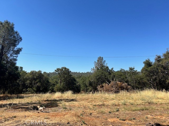 Detail Gallery Image 11 of 21 For 1403 Forbestown, Oroville,  CA 95966 - – Beds | – Baths