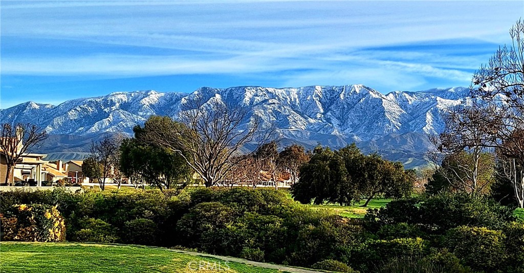 MLS #IG25063359 image #5