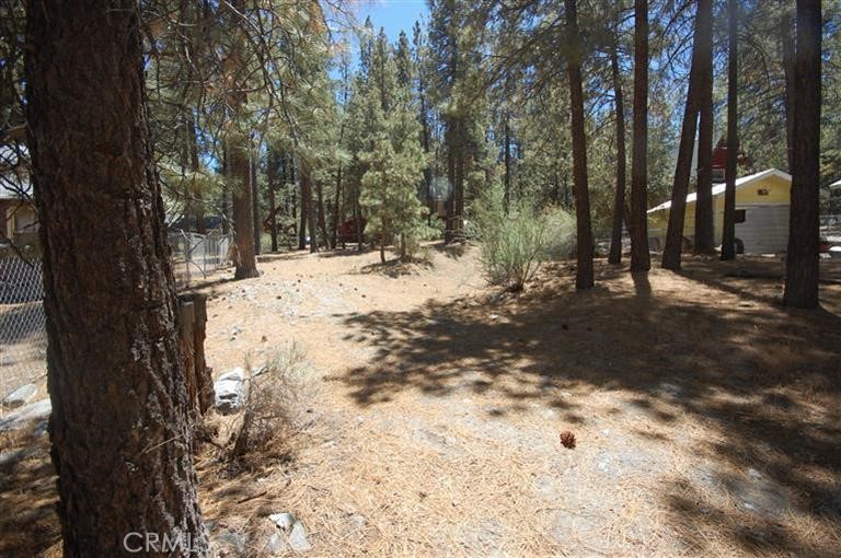 1691 Virginia Street, Wrightwood, CA 92397