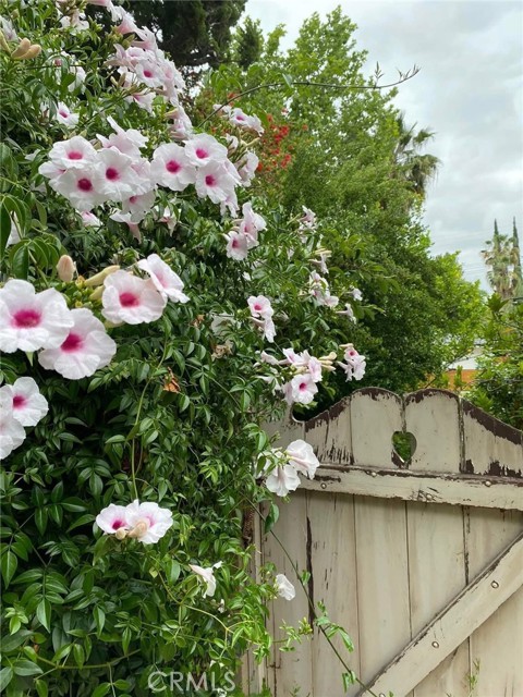 24101 Philiprimm Street, Woodland Hills CA: https://media.crmls.org/medias/706a49a7-5976-4b68-a297-ded37c5c6495.jpg