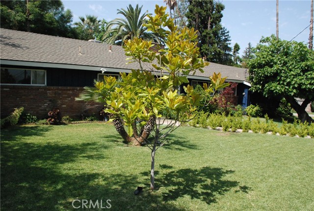 360 Campbell Avenue, Redlands CA: https://media.crmls.org/medias/7076ff3f-ac3f-44fd-99d0-dac46c4f8e06.jpg