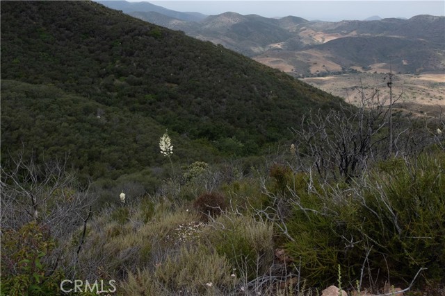 Detail Gallery Image 9 of 10 For 10651 Pacific View Dr, Malibu,  CA 90265 - – Beds | – Baths