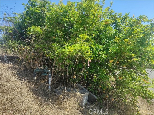 0 Indian View Drive, Oceanside CA: https://media.crmls.org/medias/70783f29-2f2d-4180-b11c-c9d91074f02c.jpg
