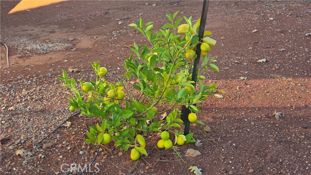 Detail Gallery Image 8 of 36 For 6396 Diamond, Paradise,  CA 95969 - 2 Beds | 2 Baths