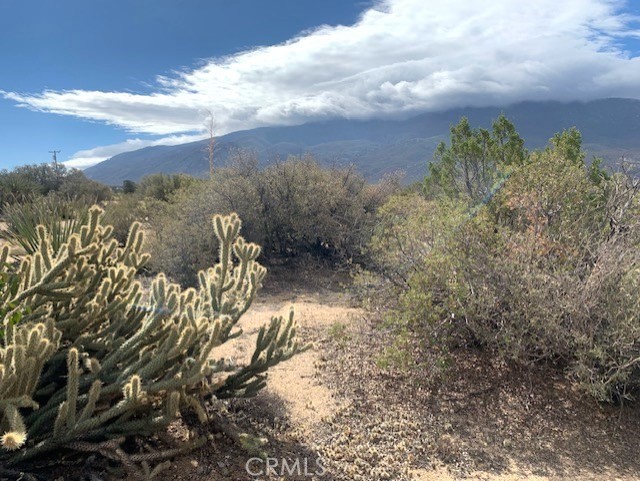 Detail Gallery Image 6 of 15 For 368 Palm Canyon Dr, Mountain Center,  CA 92561 - – Beds | – Baths